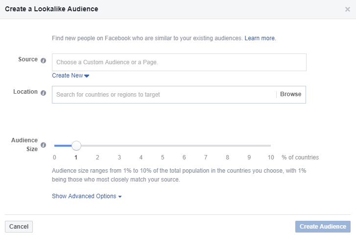 Facebook Lookalike Audience